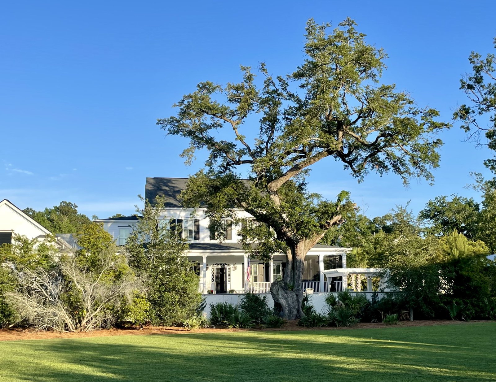 White Lowcountry home with porches beneath a large live oak
