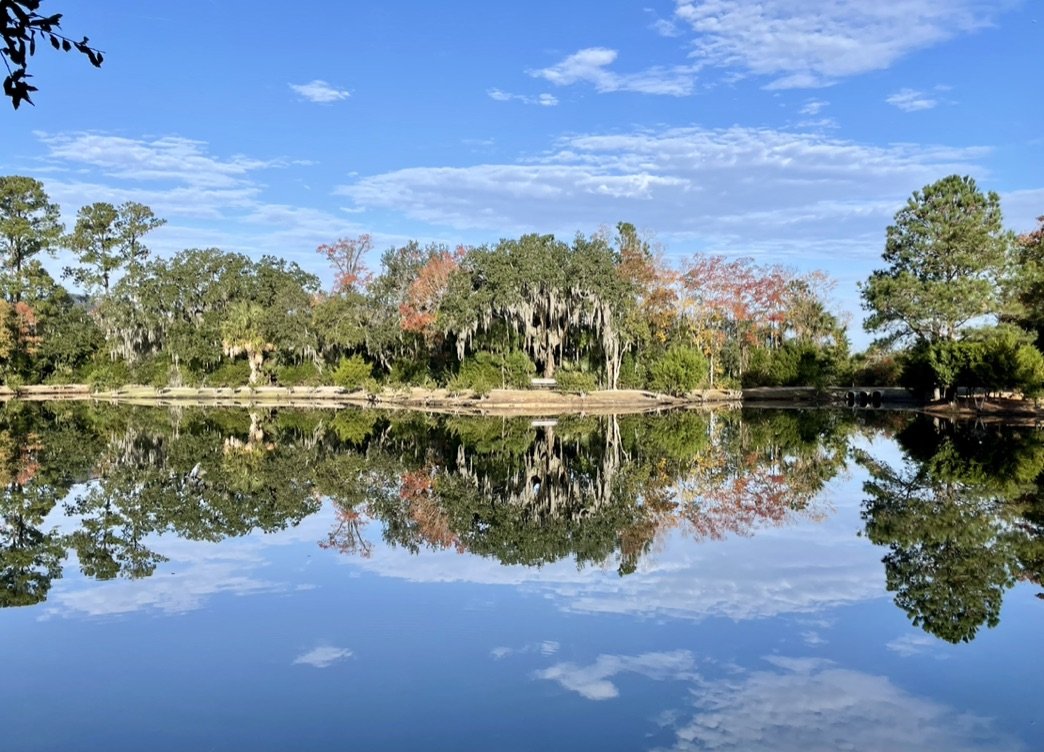 Live oaks and fall color reflected in still water