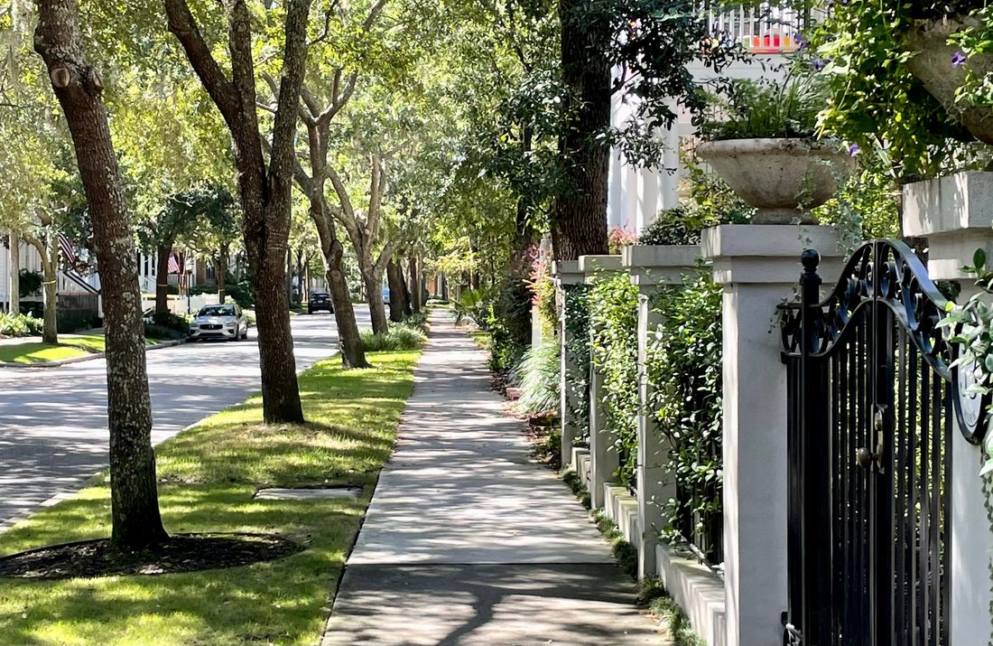 Oak-shaded sidewalk and iron gate on a Daniel Island street