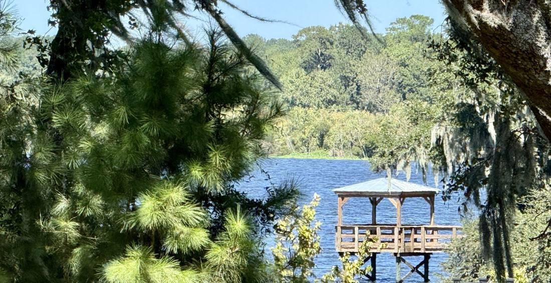 Gazebo on a dock seen through pines and Spanish moss