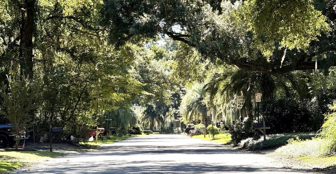 Shaded residential street in West Ashley